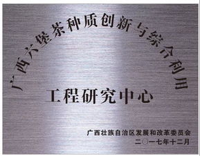 雙星閃耀 創(chuàng)新驅(qū)動——廣西梧州六堡茶股份榮獲科技創(chuàng)新突出貢獻(xiàn)與文化品牌建設(shè)雙料殊榮